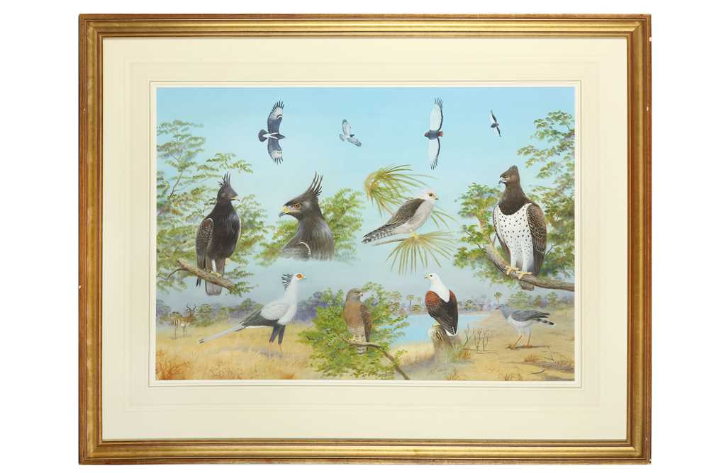 Lot 188 - Robjent (Richard) Birds of Prey Study in an...