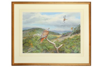 Lot 187 - Robjent (Richard) Red Kites, 550 x 770 mm,...