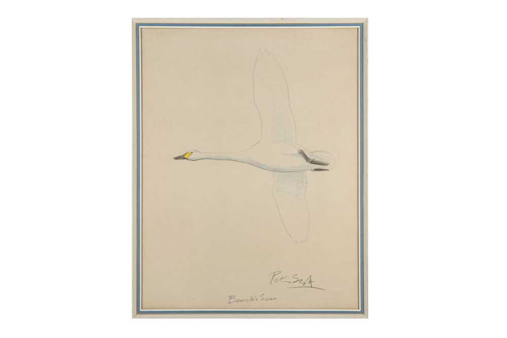 Lot 194 - Scott (Peter, Sir) ‘Bewick’s Swan’, original...