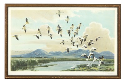 Lot 194 - Scott (Peter, Sir) ‘Bewick’s Swan’, original...