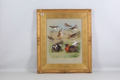 Lot 200 - Thorburn (Archibald) Original watercolour from...