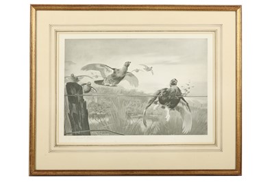 Lot 203 - Thorburn (Archibald) Grouse Flying into a...