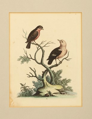 Lot 321 - Edwards (George) Six Ornithological...