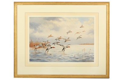 Lot 18a - Harrison (J. C.) Canvasbacks, original...