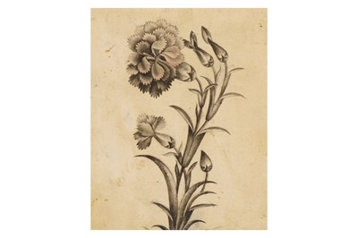 Lot 207 - *A GRISAILLE FLOWER STUDY PROPERTY FROM AN...