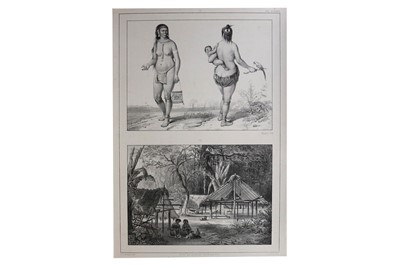 Lot 499 - Benoit (Pierre Jaques) Voyage a Surinam...