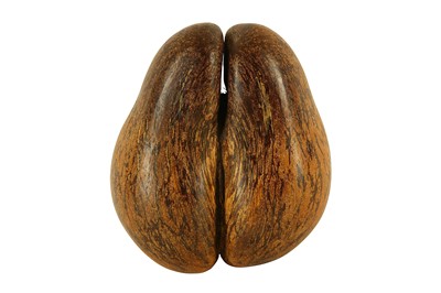 Lot 78 - An unpolished Coco De Mer (lodoicea Maldivica)